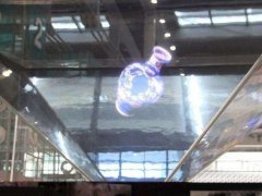 博物館360度幻影成像應(yīng)用