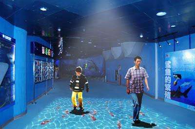 互動(dòng)投影5